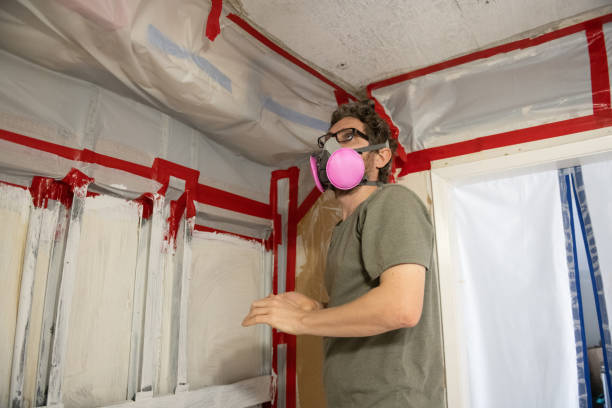Best Real Estate Mold Inspection  in Village Of The Branch, NY