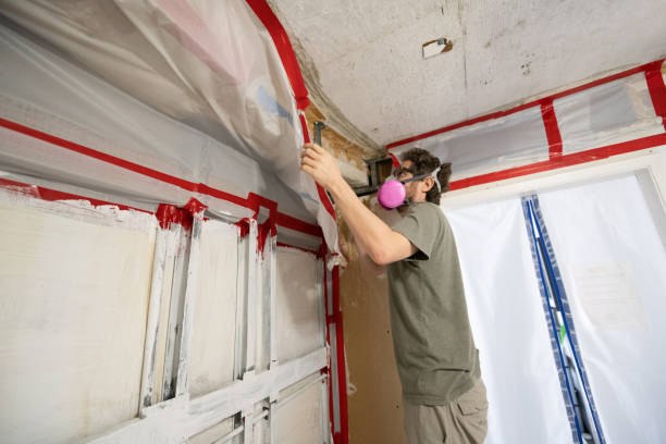 Professional Mold Removal in Village Of The Branch, NY
